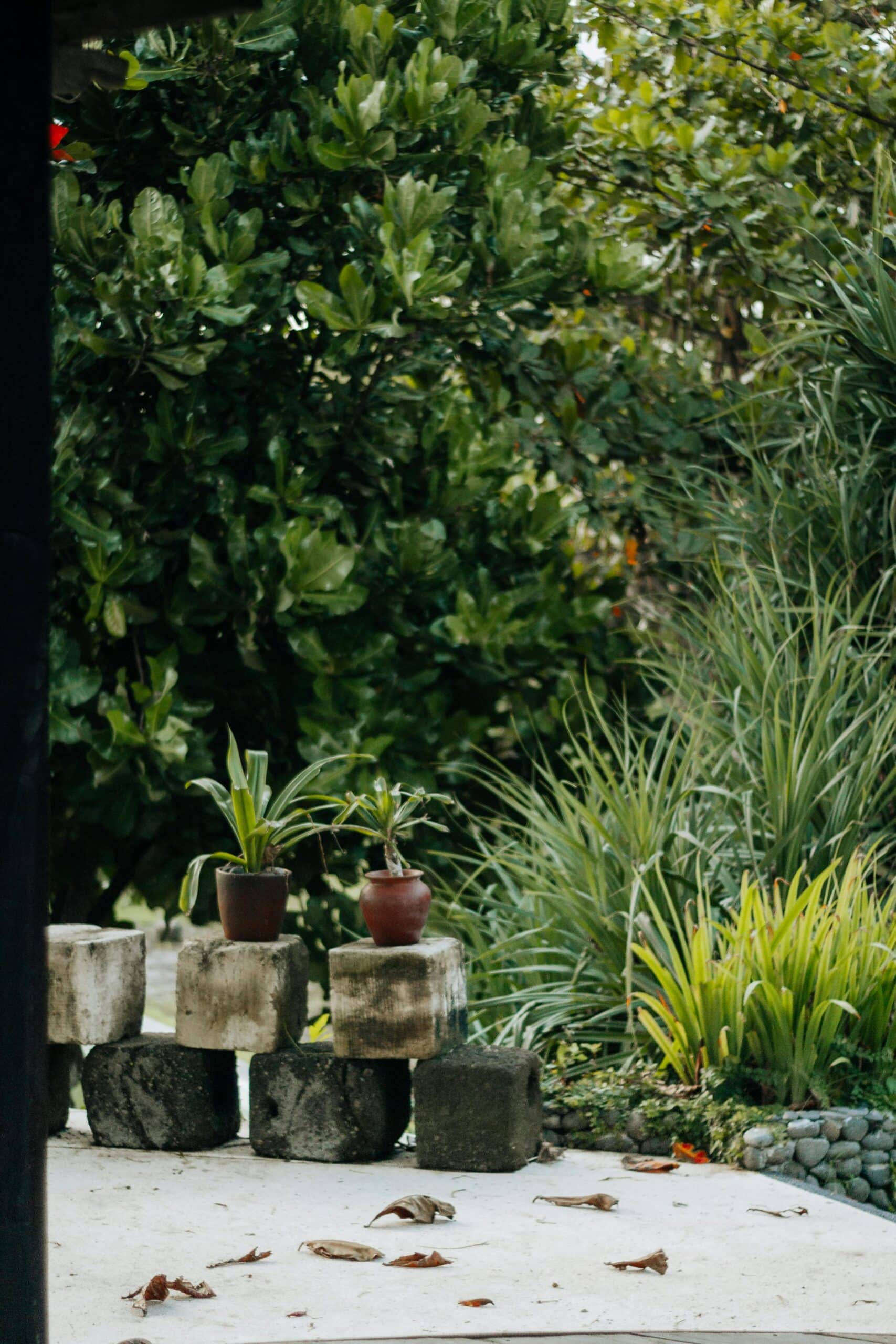 Wat kunt u doen in de tuin in februari? Alle tuintips op een rij