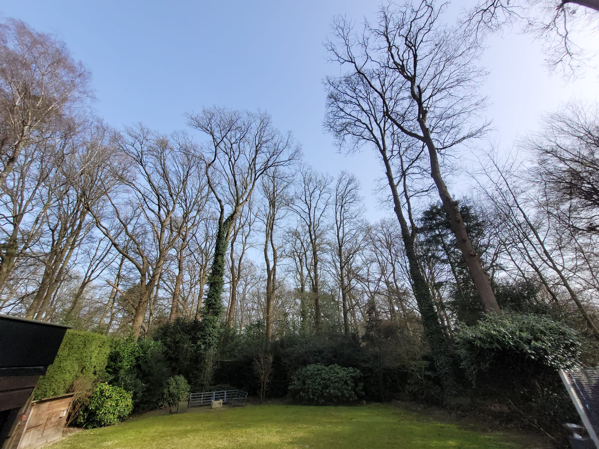 bomen123